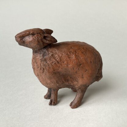 ‘Standing Sheep’
