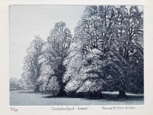 ‘Shobdon Court – Limes’