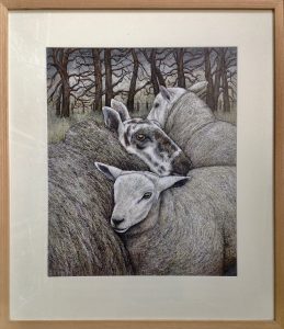 ‘Ewe and Lambs’