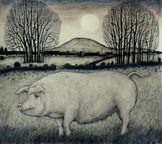'Pig, Moon Rising'