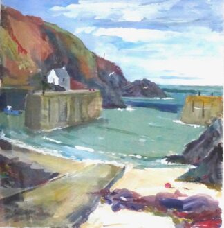 ‘Gulls at Porthgain Pembrokeshire’