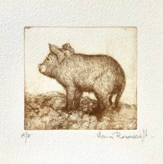 'Piglet'
