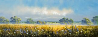 'Wildflower Meadow Walk'