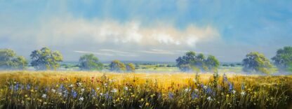 'Wildflower Meadow Walk'