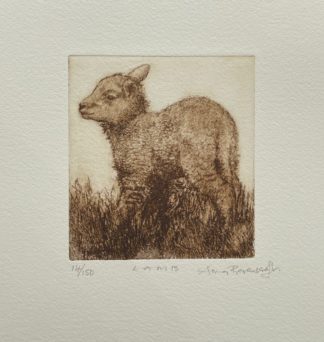 'Lamb'