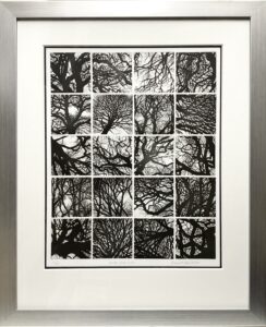 'Winter 2020 - 2021'