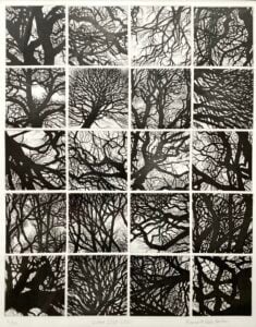 'Winter 2020 - 2021'