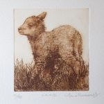 'Lamb'