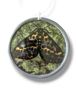 ‘Green Moth Roundel’