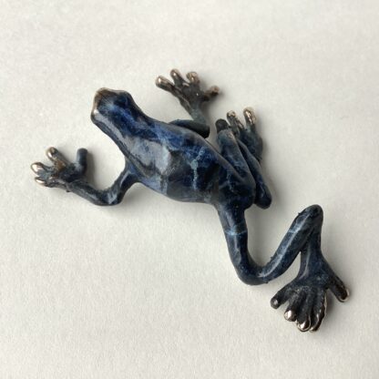 ‘Blue Arrow Frog’