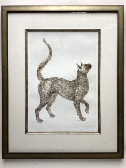 ‘Devonshire Cat’