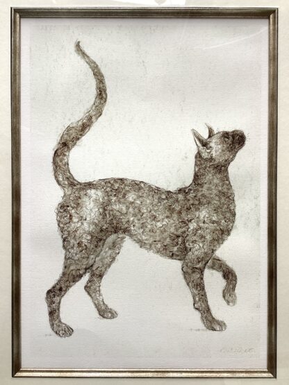 ‘Devonshire Cat’