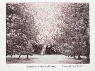 ‘Shobdon Court – Acers and Cherry’