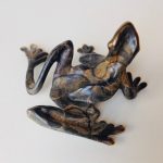 Bronze Wall Frog