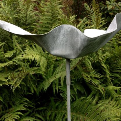 'Bird Bath Leaf'