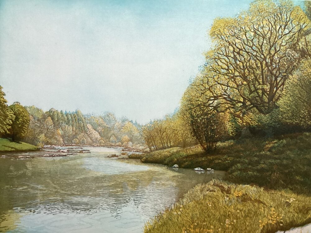 ‘Spring on the River Wye II’