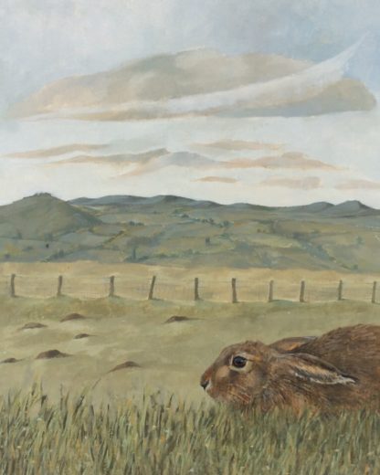 'Hare, Rhulen Hill'