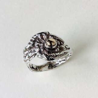 ‘Silver Ring with Gold Blob’
