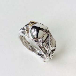 ‘Silver Ring with Leaf & Dome’