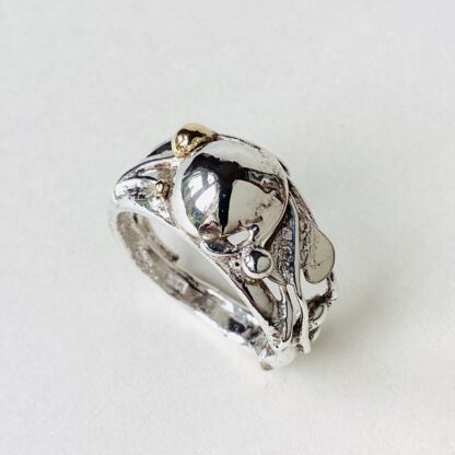 ‘Silver Ring with Leaf & Dome’
