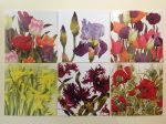 Assorted Spring Flowers Greetings Cards