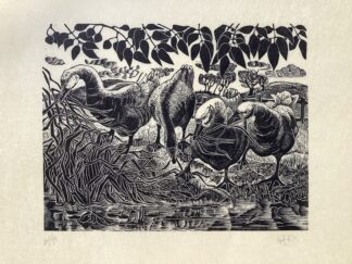 ‘Geese Gandering’ Wood Engraving