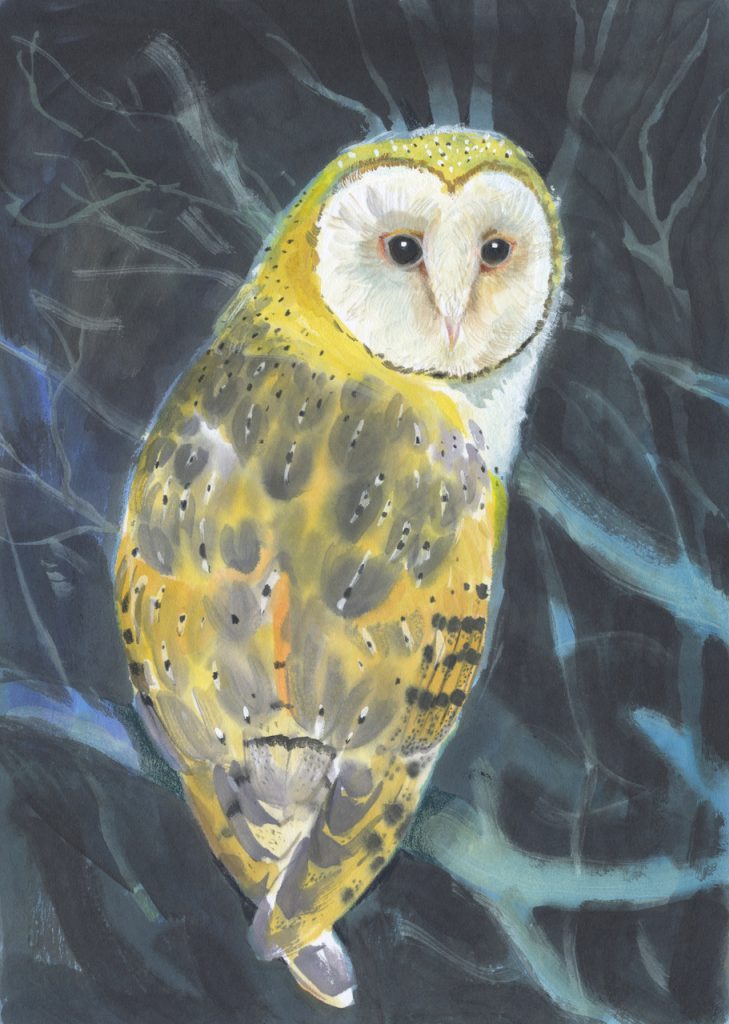 barn-owl-old-chapel-gallery