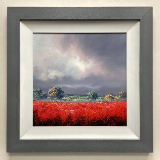 'Stormy Sky over Poppies'