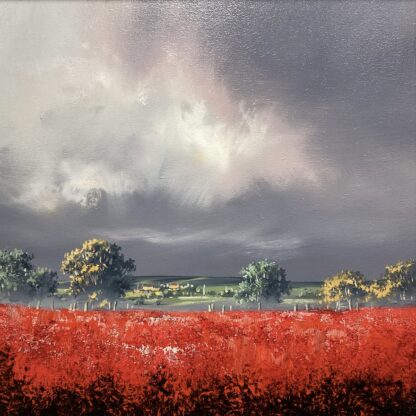 'Stormy Sky over Poppies'