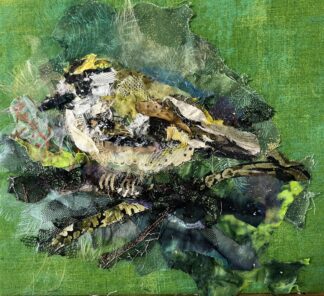 ‘Goldcrest’
