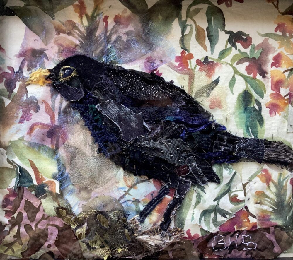 'Blackbird'
