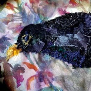 'Blackbird'