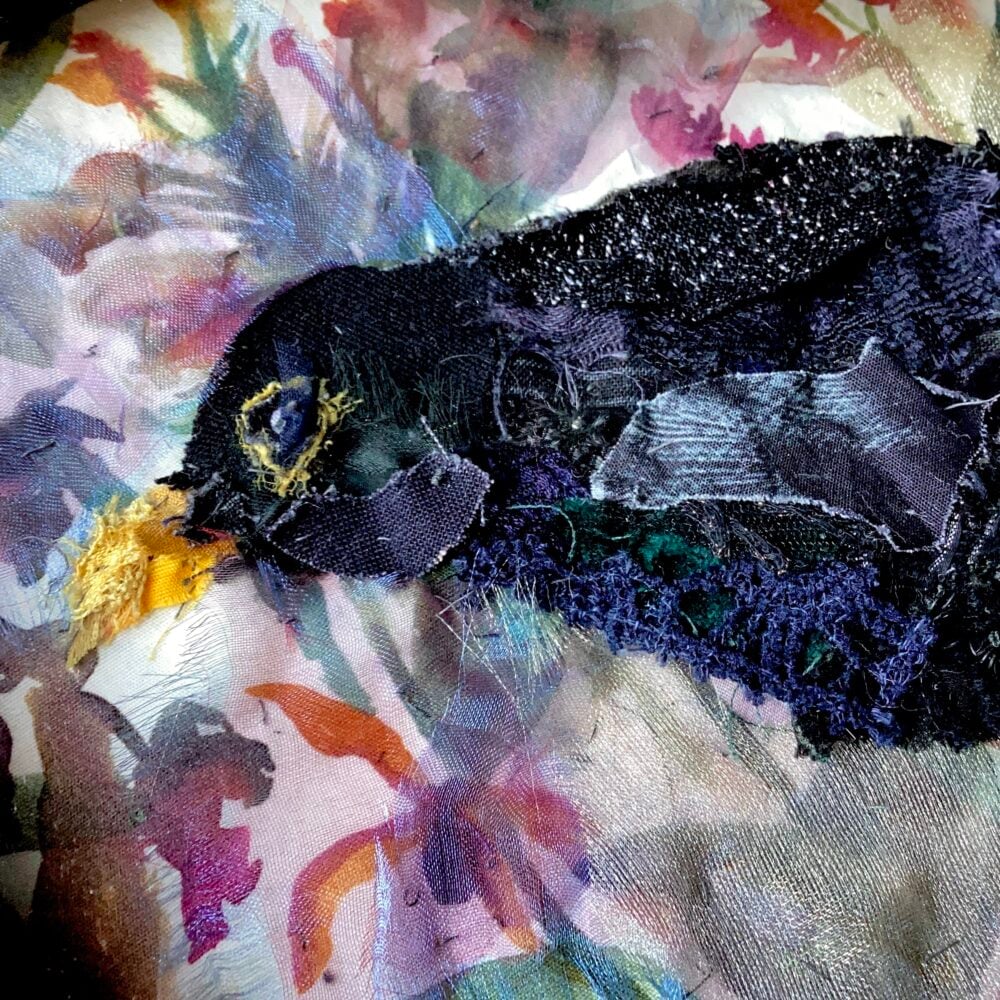 'Blackbird'