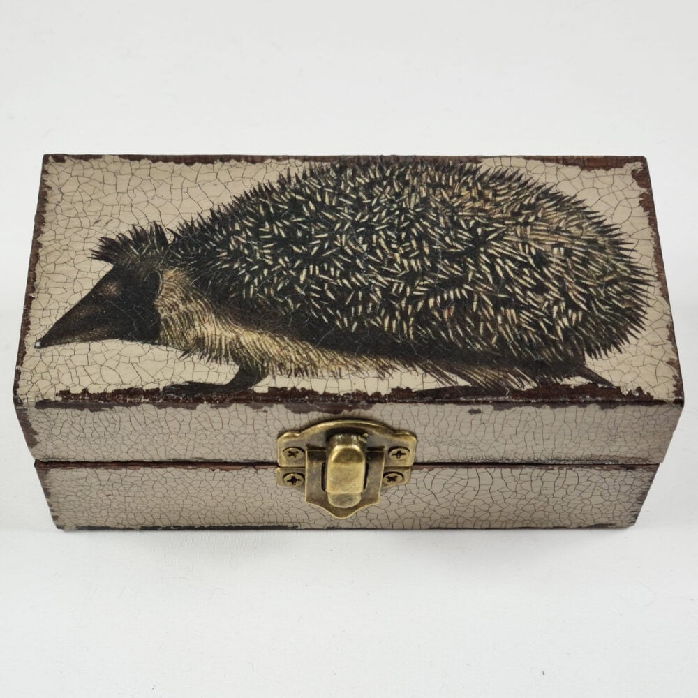 'Hedgehog' Small Decoupage Box