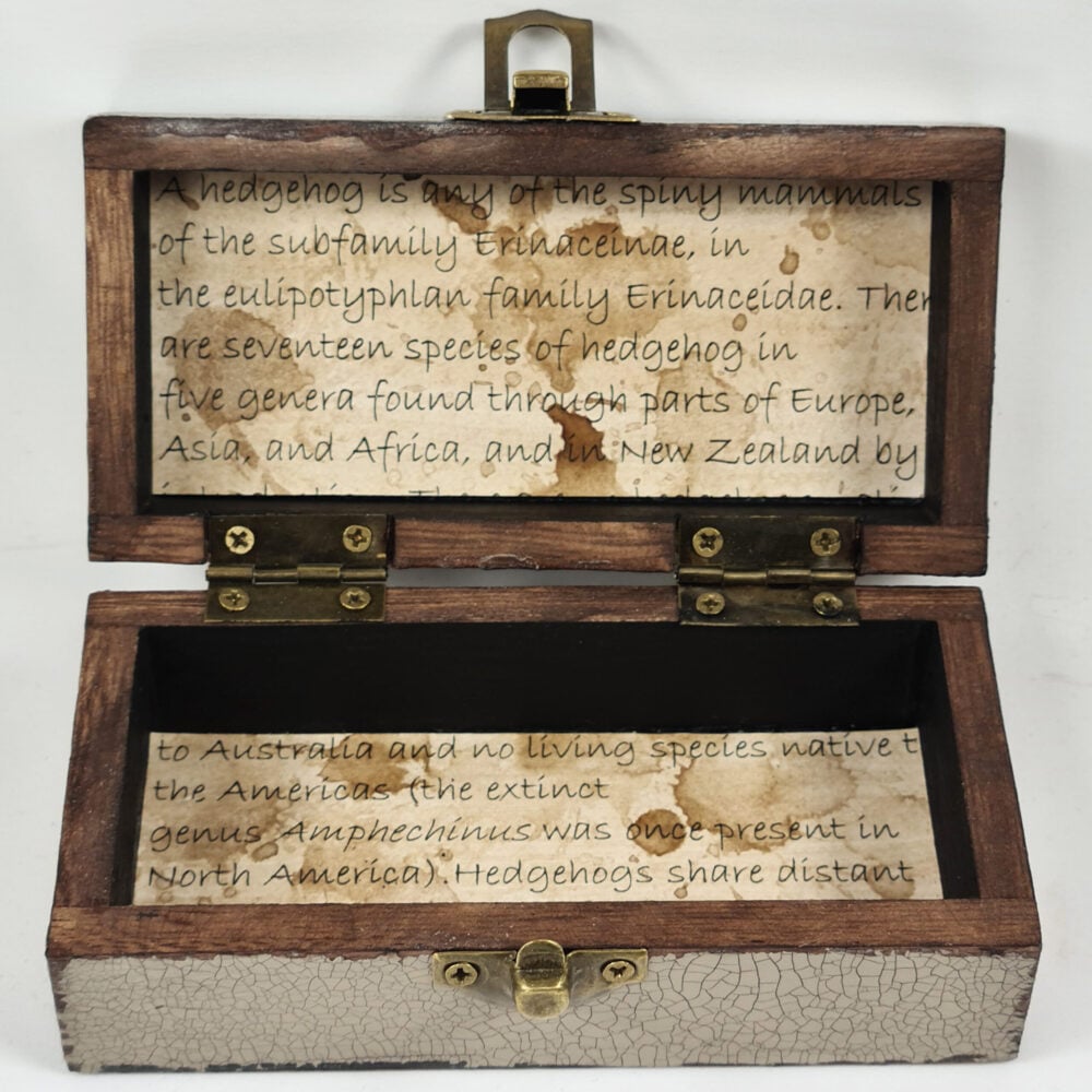 'Hedgehog' Small Decoupage Box
