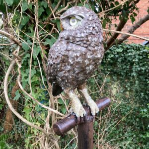 ‘Little Owl on Fork’ 