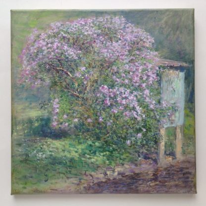 ‘Lilac by the Moulin À Tan'