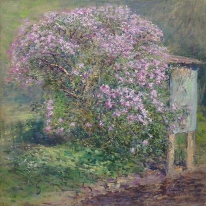 ‘Lilac by the Moulin À Tan'