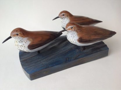 ‘A Fling of Dunlins’