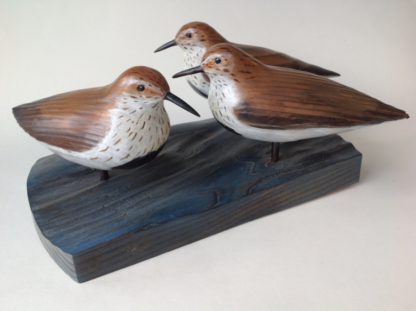 ‘A Fling of Dunlins’