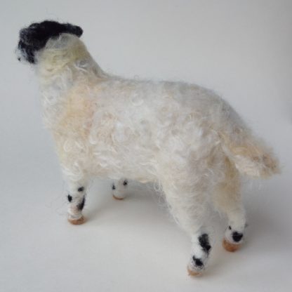 'Swaledale Sheep'
