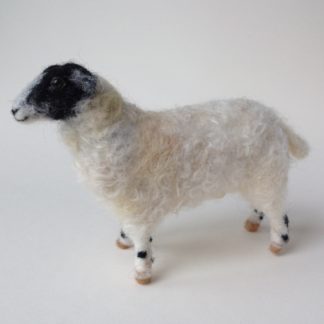 'Swaledale Sheep'