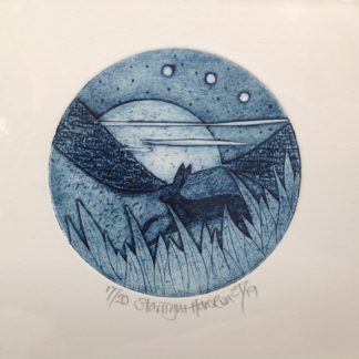 'Starlight Hare Run'
