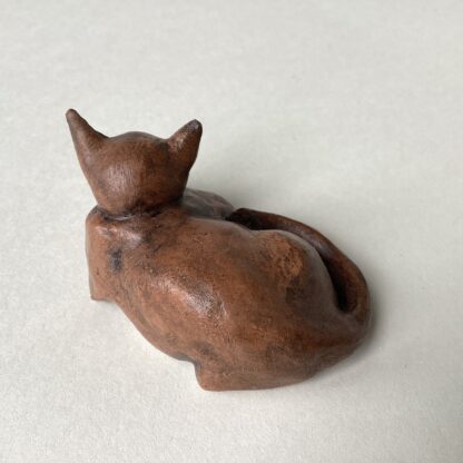 ‘Curled Cat’