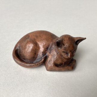 ‘Curled Cat’