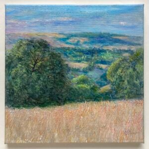 ‘Towards Mynd from Upper Carwood’