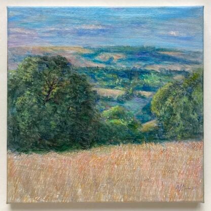 ‘Towards Mynd from Upper Carwood’
