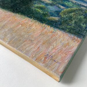 ‘Towards Mynd from Upper Carwood’