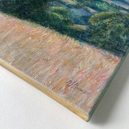 ‘Towards Mynd from Upper Carwood’