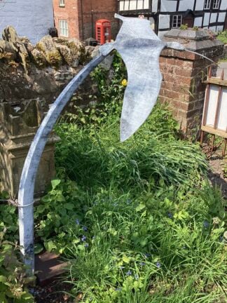 'Curlew'